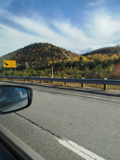 Photo de Sur la route : le parc de la Jacques-Cartier